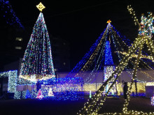 イルミネーション 2016 冬 クリスマス 南青山矯正歯科クリニック